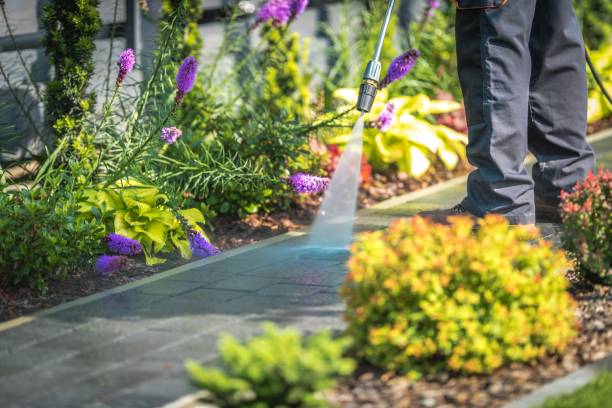 Best Dumpster Area Cleaning  in Arnold, PA